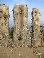 north sea groynes