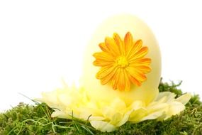 yellow flower on an Easter egg