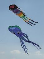 octopus kites fly in the sky