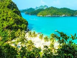 Green beach of the ocean