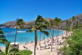 people resting on beach in beautiful sea bay, usa, hawaii