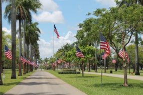 flags for Memorial day in United States