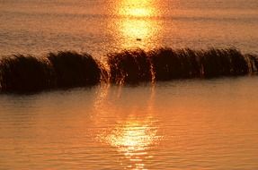 sunset sea lake sun glow reflect