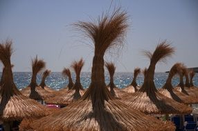 charmingly beautiful palm roofs