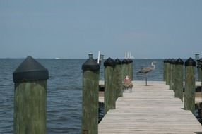 very beautiful florida pier