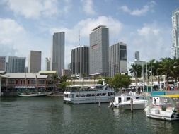 view from the port water in Miami