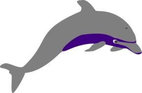graphic image of a gray dolphin