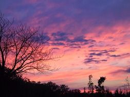 delightful and incredible beauty evening sky