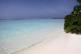 maldives clear water sea beach white sand