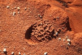footprint on red sand