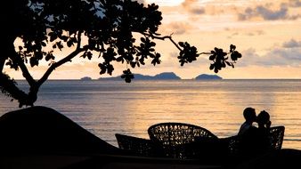 kissing couple on a bench during sunset