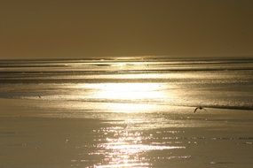 sea ameland beach