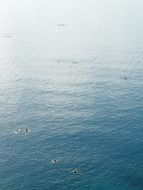 tranquil sea refreshment scene