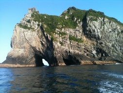 new zealand hole
