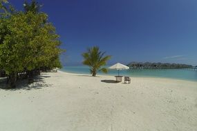 empty beach in paradise maldives