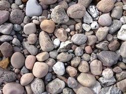 different beautiful sea stones