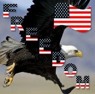 freedom patriotic american poster