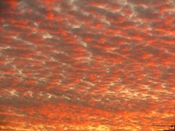 cirrocumulus clouds at red sunset sky
