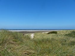 Langeoog East coast of Friesland