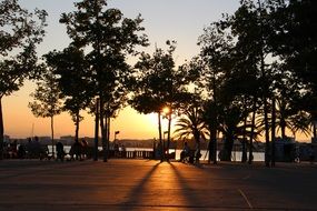 sun over the beach