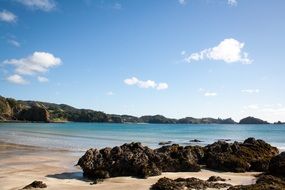 rocks and stones on the beach in New Zealand