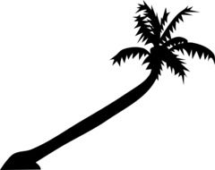 black palm silhouette drawing