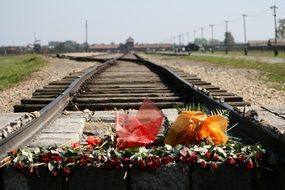 auschwitz birkenau concentration camp is in Oswiecim