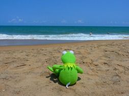 lonely frog toy