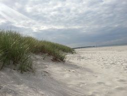 sand dunes near the Baltic Sea