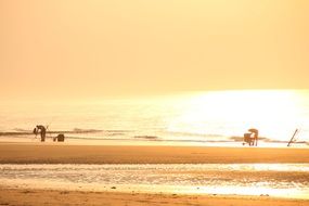 fish angler beach