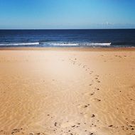 tropical sand beach with footprints scene