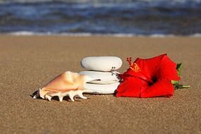 romantic attributes on a sandy beach