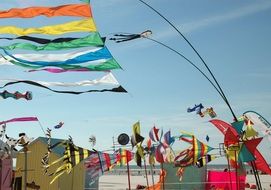 kites on the beach berck-plage