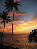 scenic tropical sunset, usa, Hawaii