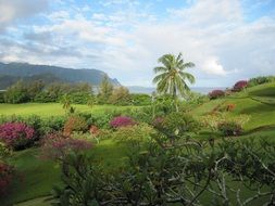 distant view of hanalei bay in the pacific ocean