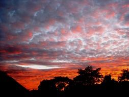 amazing red clouds