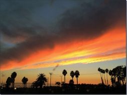 sunset on the island with palm trees