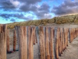 Domburg wood in the sand