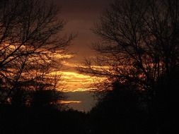Summer sunset