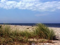Beach on a baltic sea