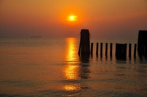 wooden poles in the ocean on the background of the golden sun