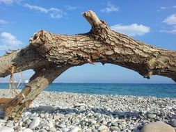 sea pebble beach