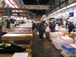 tourists on the market in Tokyo Japan