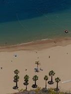 view of the beach with palm trees