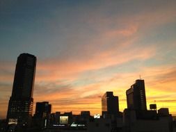 Silhouettes of Shibuya at sunset