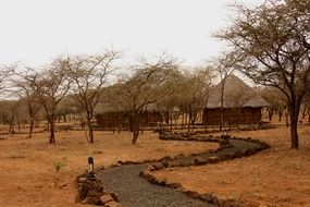 safari camp