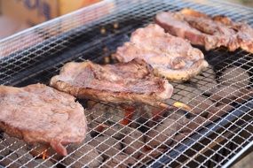 Meat on the camping