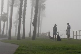 couple with a dogs in a foggy park