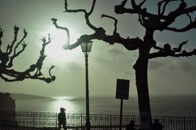 People on the picturesque promenade