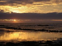ocean low tide at sunset